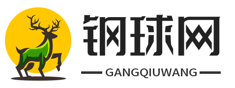 钢球网